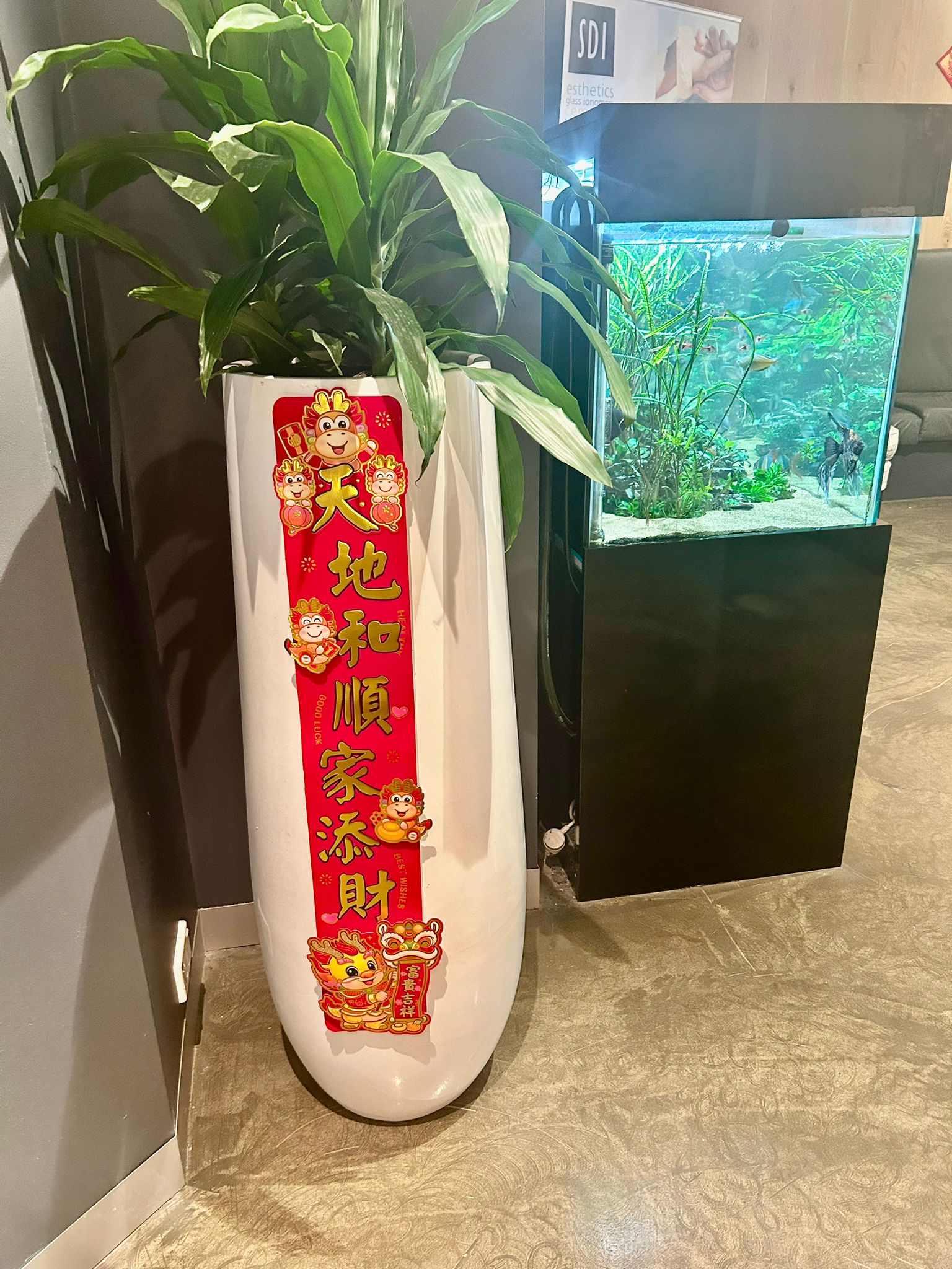 祝大家龙年大吉！