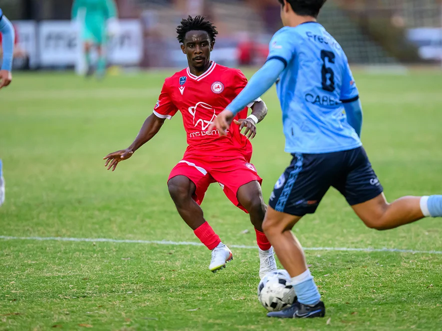 MC牙科赞助的东方雄狮队迎来激动人心的赛季揭幕战