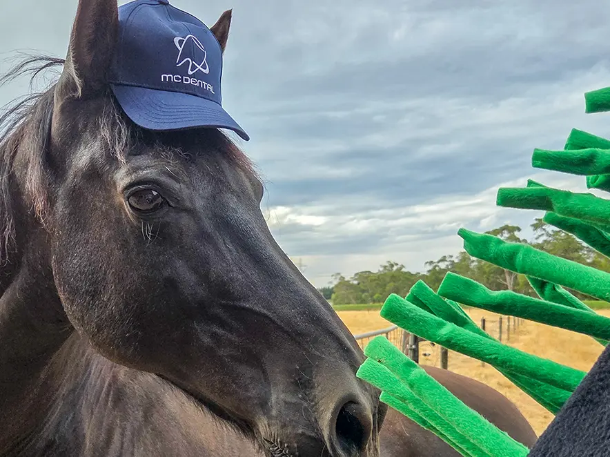 2026 马年快乐！祝您马到成功，笑容满满